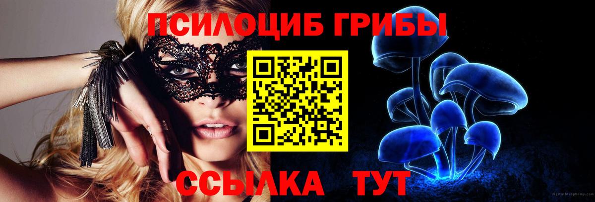 купить наркоту  Вход с VPN  Ростов-на-Дону  Галлюциногенные грибы мухоморы  Галлюциногенные грибы Cubensis 